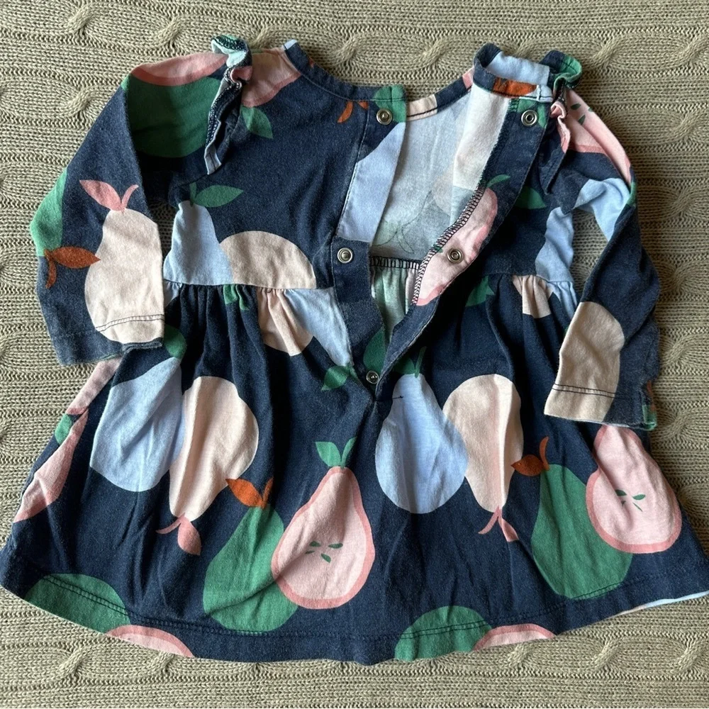 EUC Carter’s Baby Girl Outfit Set, Pink & Blue Pear, 9 Months